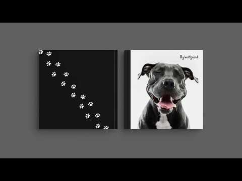 Inspiração para a capa do seu Álbum Digital - ‘O meu melhor amigo’