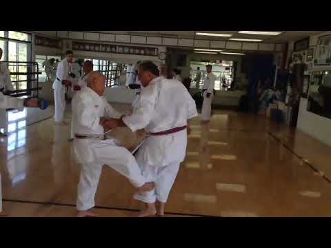 Tak Soke Kubota Teching Karate at Age 82 Amazing karate Master