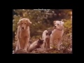 VHS Mania Episode 7 1994