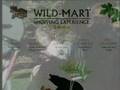 Wild America