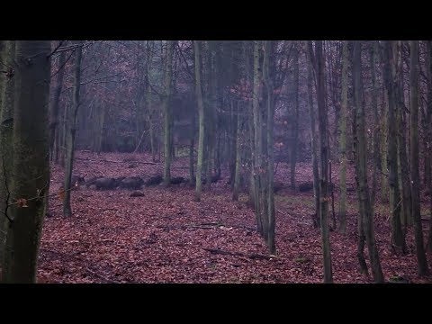 Traumdrückjagd der Trailer - Hunter Brothers