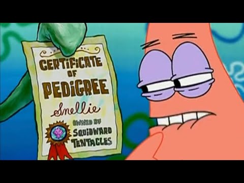 Thaddäus Teewurst | Spongebob Schwammkopf