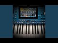 Alan Walker Diamond Heart Korg Danekoo1