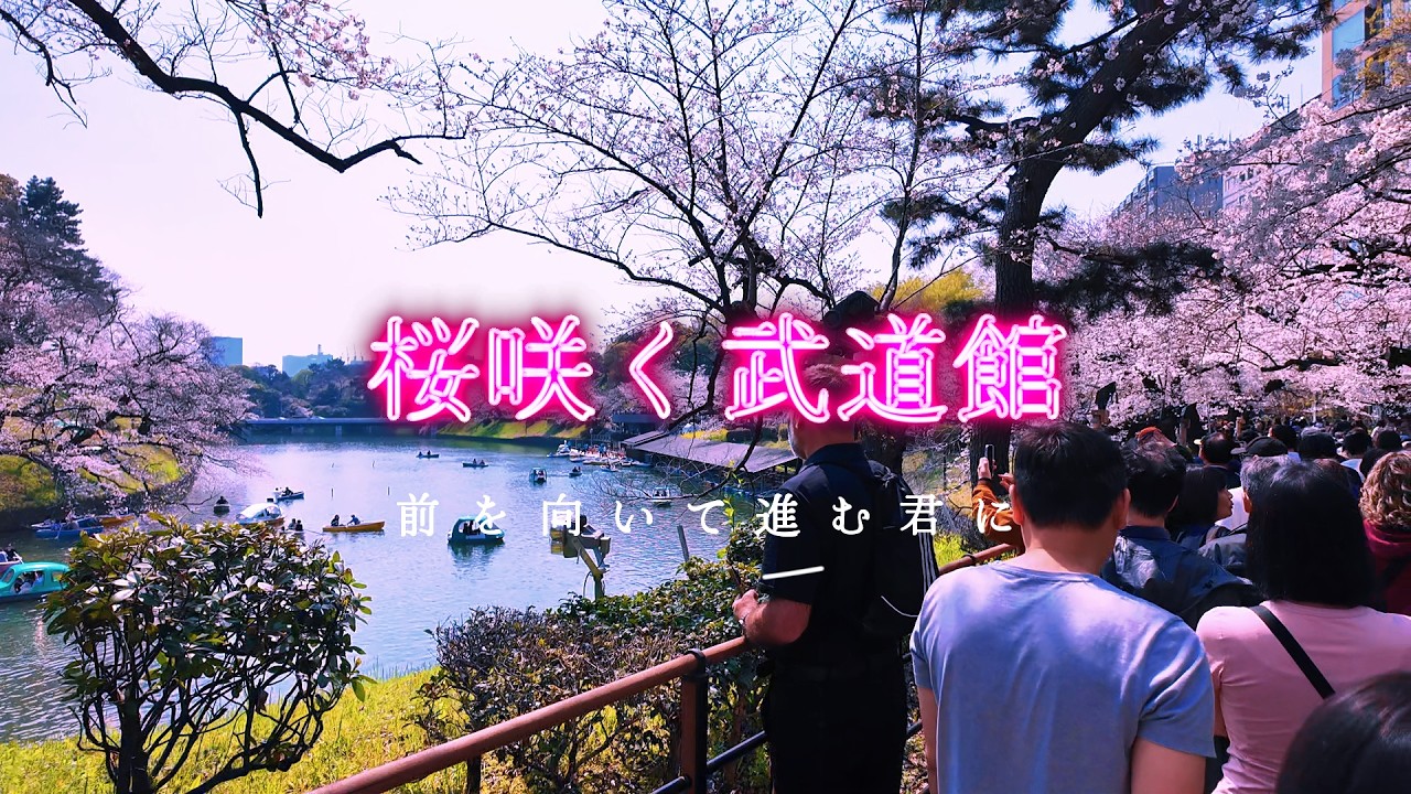 【2026年千鳥ヶ淵の桜】桜咲く武道館からはじまる新しい出会い、靖国の春