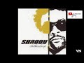 Shaggy - Shut Up And Dance.
