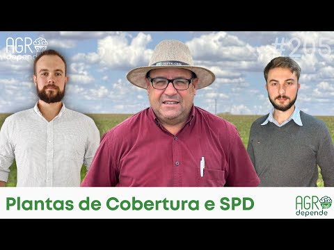 , title : '205º AD – Plantas de Cobertura e SPD'