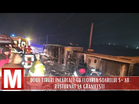 Două tiruri încărcate cu floarea-soarelui s-au răsturnat la Grănicești