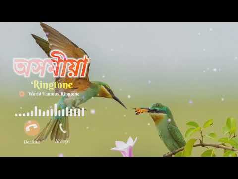 Assamese music tune | bgm | assamese Ringtone |flute ringtone