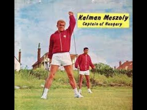 Mészöly Kálmán góljai a Magyar Válogatottban
