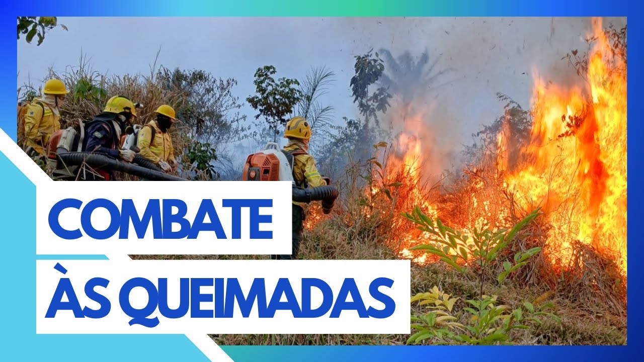 DINO DÁ PRAZO DE 15 DIAS PARA GOVERNO COMBATER INCÊNDIOS