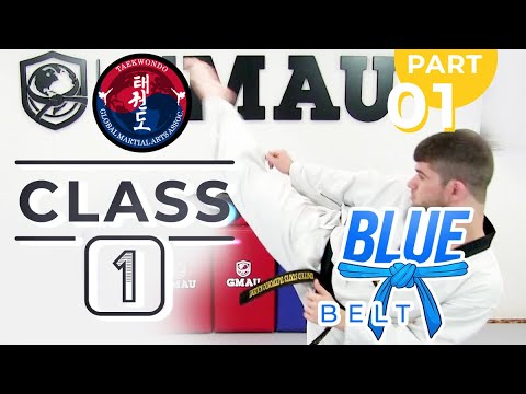 Taekwondo - Blue Belt - Class 1 (Part 1) thumbnail