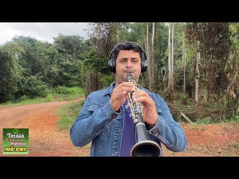 Tocando no Sítio ( Botelhos MG  ) Egnaldo Novaes Clarinetista #tocata