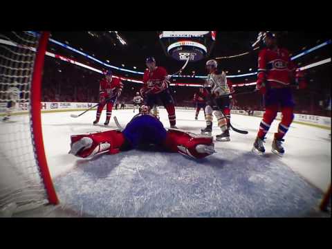 Top 10 Saves of the 2016-17 Regular Season