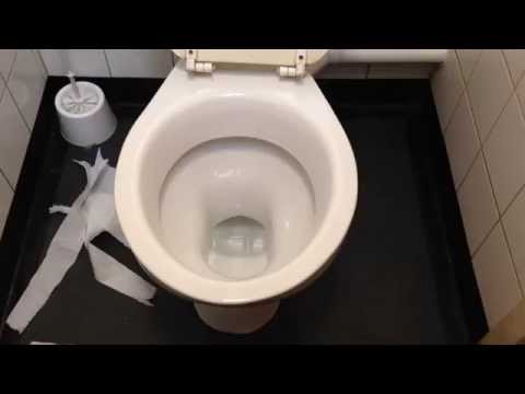 Llandudno Junction Station toilets HLIR Dudley Tri-shell