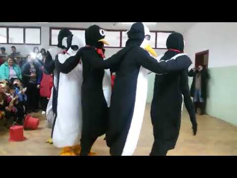 Faze Tari și Super Tari - La Dansul Pinguinilor Mici ! :))) De Văzut Mori de ras ! ;)