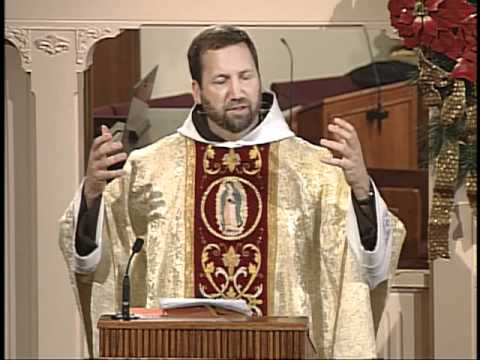 Homily 2012-01-01 - Fr Mark Mary MFVA - Mary Mother of God