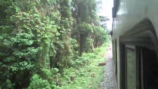 preview picture of video 'Jan Shatabdi Rocking on the way to Kozhikode'