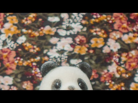 Alguna Vez Allí Algo Ardió - Mi Sobrino Memo (Ternurizer)