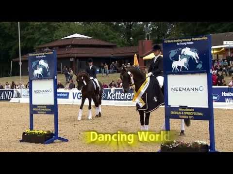 Hannoveraner Reitpferde-Championat 2013 - Vierjährige Hengste