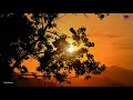 Ithu Oru Ponmaalai Song WhatsApp Status Vairamuthu SPB Ilayaraja Song Status