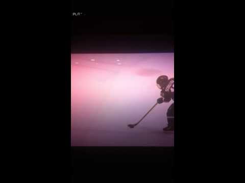 Leo Sobotka - SCVHA Blackhawks SQ 1 ( shades of Tomas Hertl)