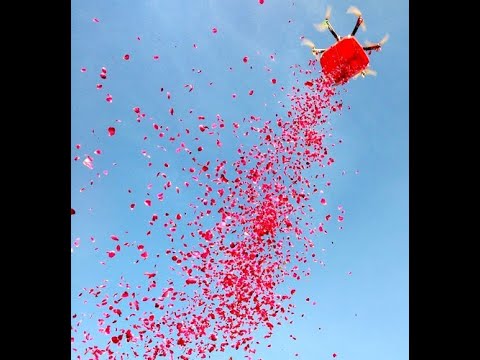 Helicopter Flower Dropping Service In Chhindwara