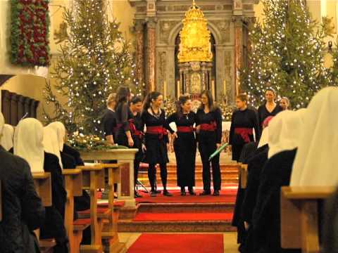 Klapa Frecija Pitovska Kolenda