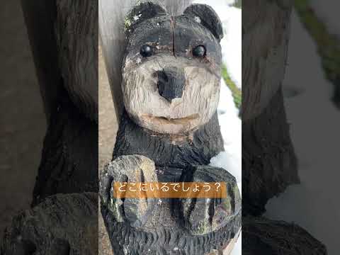 自然薬局：薬草園に絶対に入れておきたい、自分を癒す20の植物  庭園