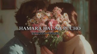 Download lagu hamara haal na pucho( slowed reverb ) 🎧| #lofi #newsong #viralsong #lovesong #fyp #trendingsong  mp3