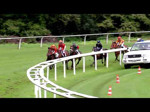 Aarau/08.09.2019/Poneys D - Preis der Intool AG