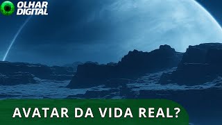 Miniatura do vídeo