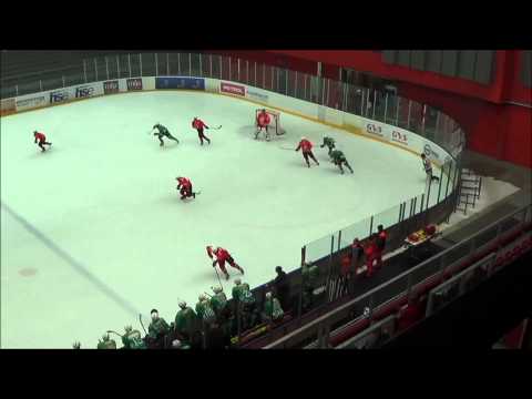INL - Team Jesenice : EHC Bregenzerwald (17.11.2013)