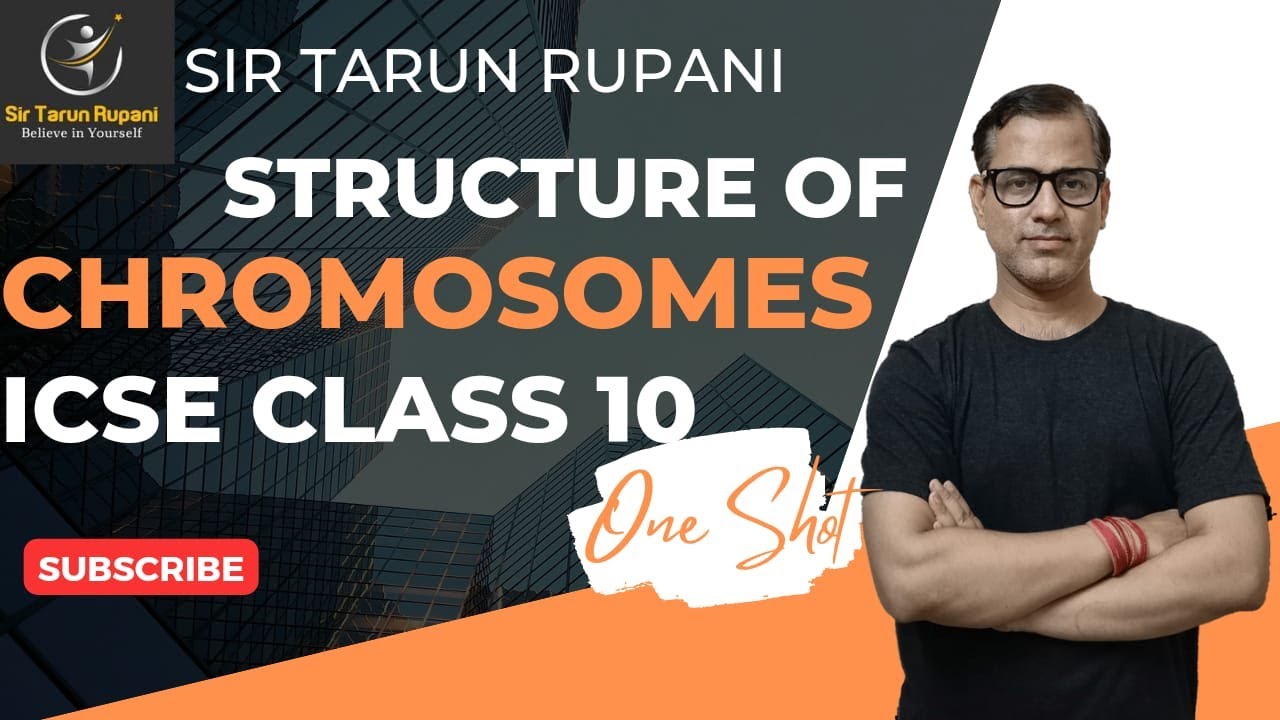 Structure of Chromosomes One Shot | Cell Cycle & Cell Division ICSE Class 10 | @sirtarunrupani