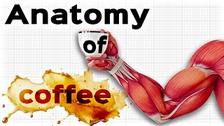 Still not drinking coffee ? You are missing out