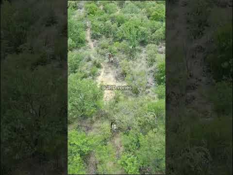 JR DRONES Registrou de pertinho 🎬🎥📸 #nordeste # #cavalo #vaquejada