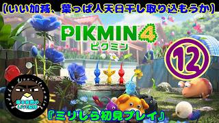 【いい加減葉っぱ人天日干し取り込もうか】ピクミン4　12日目【喋る夜鷹の実況プレイ】