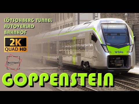 AUTOVERLAD GOPPENSTEIN BLS  [QHD/2K]