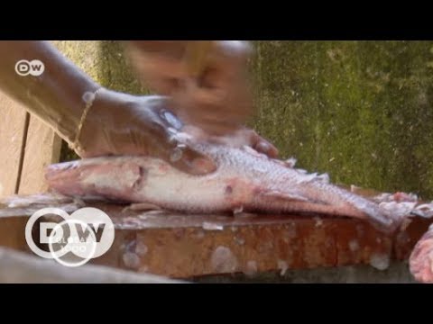 A typical snack on Príncipe: Fish stew | DW English