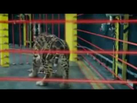 Primeval Creatures - Never Enough