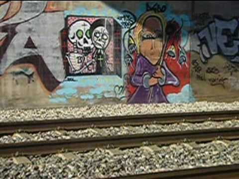 ______plaga zomby______