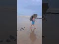 Kaavaalaa Rajnikanth Tamanna Goa Goabeach Trending Viralvideo Ytshorts Song