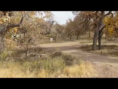 levee road that leads down into campground