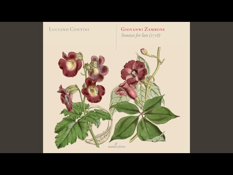 Lute Sonata No. 9: V. Gavotta