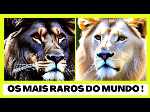 5 Types of RAREEST LIONS in the WORLD