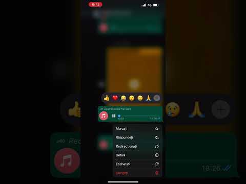 Florin salam - De la 12 stau și beau 2023 HIT