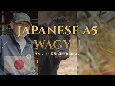 Japanese A5 Wagyu — Olive Wagyu of Shōdoshima