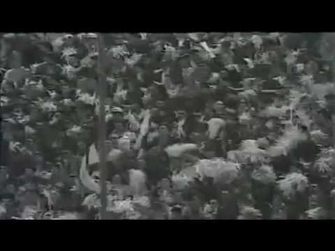 Serie A 1994-1995, day 24 Reggiana - Parma 2-2 (M.Esposito, Couto, Minotti, Apolloni o.g.)