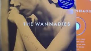 The Wannadies – How Does It Feel (Live &#39;95)