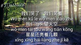 Gang Hao Yu Jian Ni 刚好遇见你 - Li Yu Gang 李玉刚( beat )