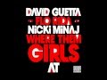 David Guetta ft. Flo Rida & Nicki Minaj - Were Them ...